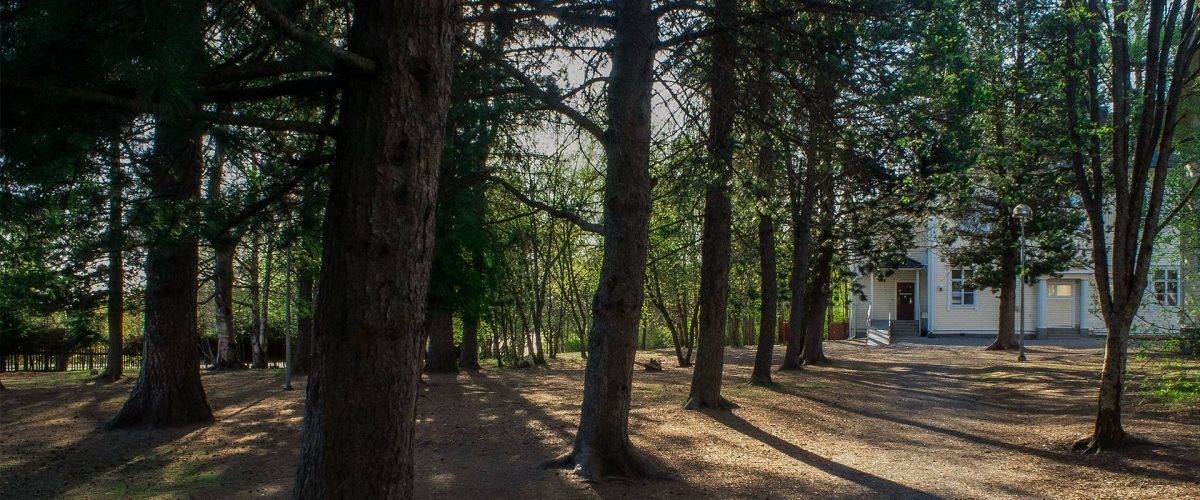 Messukylän koulun eteläpuolen puistikon metsäinen miljöö ennen maisemointia toukokuussa 2018. Messukylän omakotiyhdistys ry, Tampere