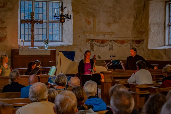 Messukylän omakotiyhdistys - Tampere