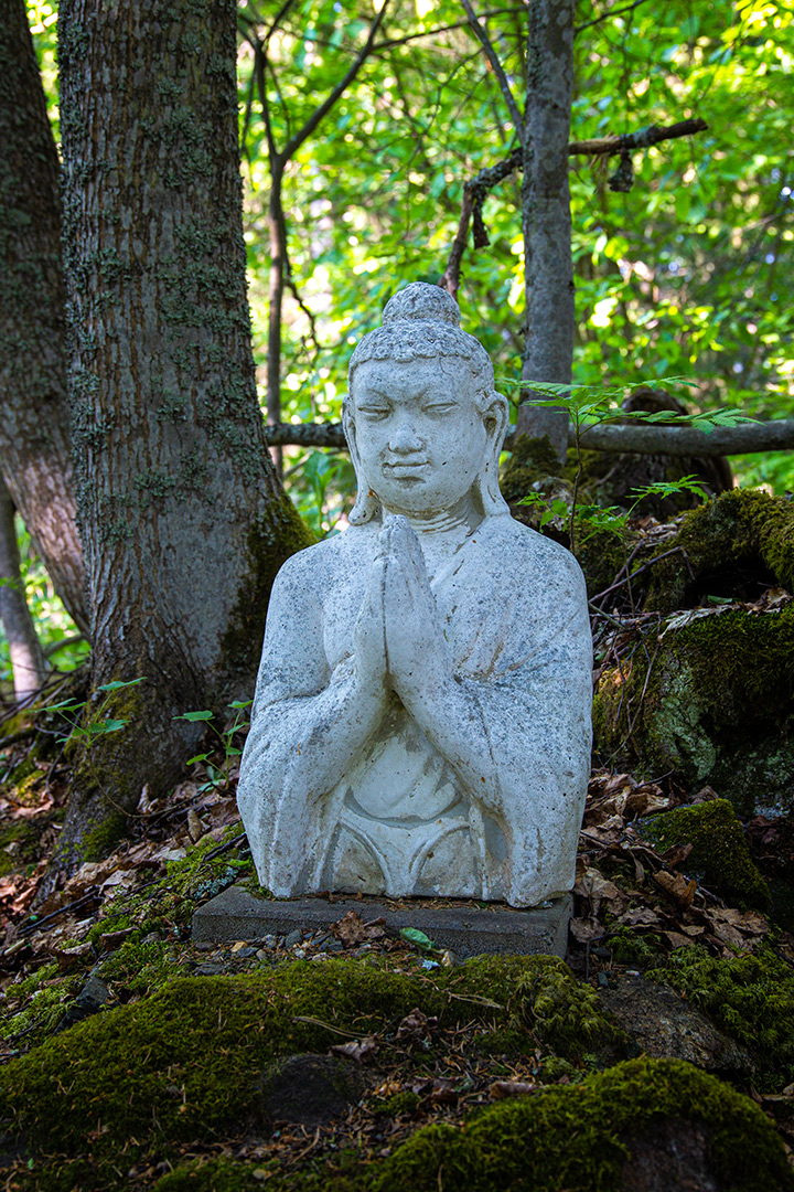Buddhan patsas tuo syvällisen tunnelman sammaleiseen metsään.