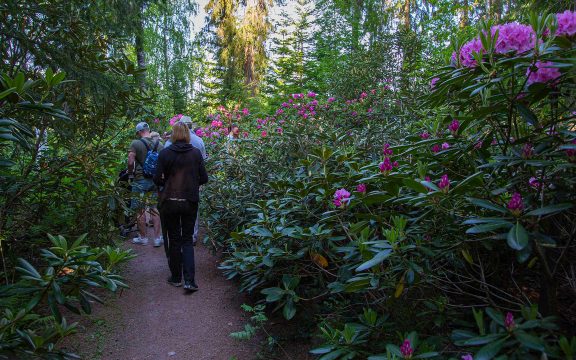 Messukylän omakotiyhdistyksen kesämatka luonnon helmaan Arboretum Frickiin Kangasalan Liuksialaan.